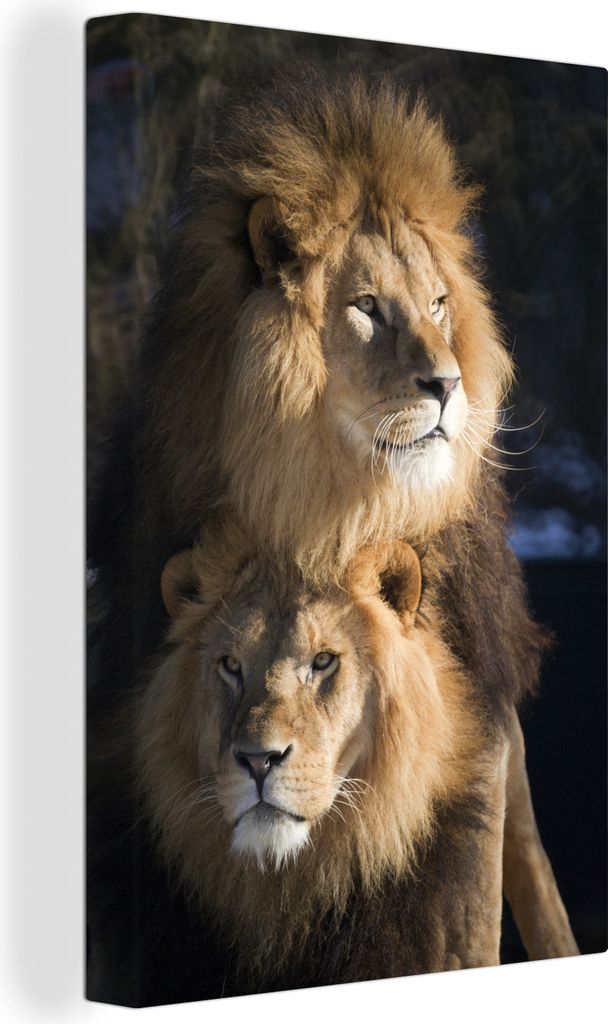 OneMillionCanvasses - Leinwandbilder - 90x140 cm, Löwen - Jagd - Wilde Tiere, Wandbilder Kunstdruck Wanddekoration - Wandschmucke - Schlafzimmer