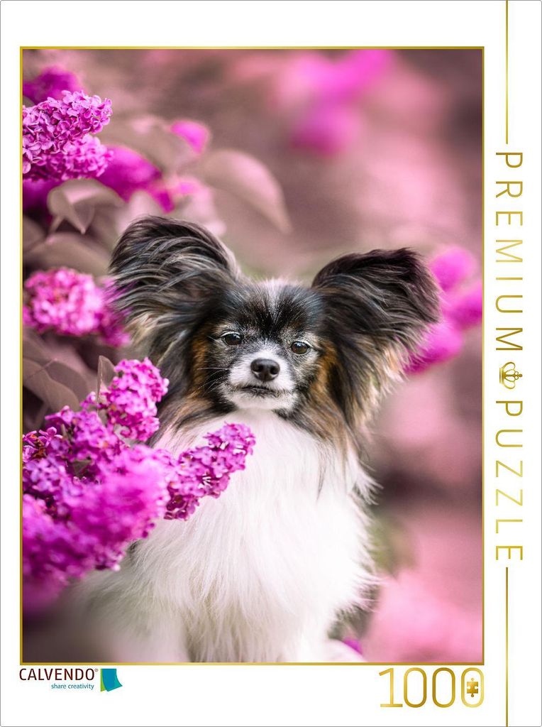 CALVENDO Puzzle Leo, der Papillon | 1000 Teile Lege-Größe 64x48cm Foto-Puzzle für glückliche Stunden