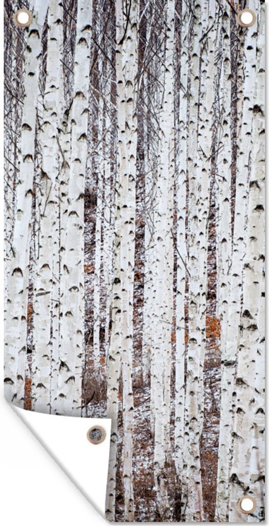 MuchoWow 30x60 cm Outdoor-Poster Gartendeko Sichtschutz Garten Poster für den Garten Mehrere schwarze und weiße Baumstämme in einem Wald