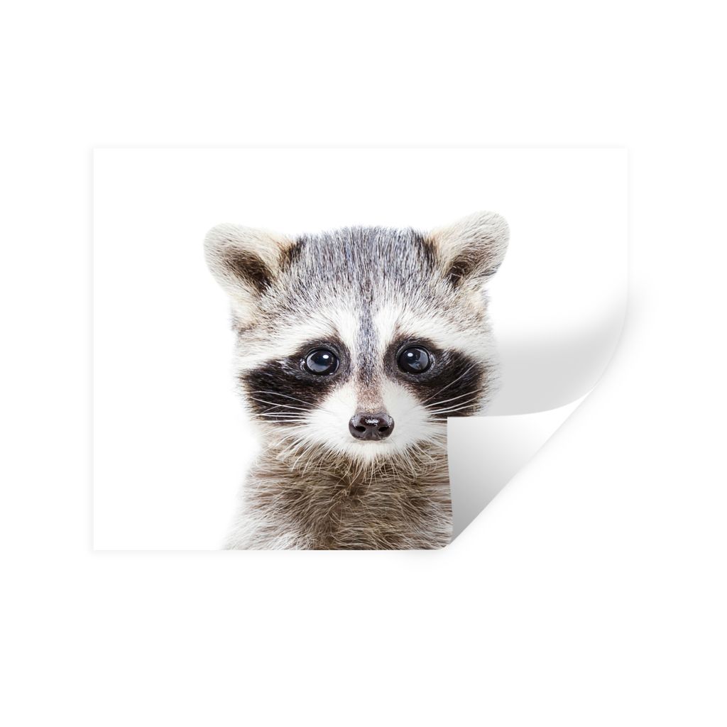 MuchoWow Wandtattoo Wandsticker Wandaufkleber Waschbär - Tiere - Natur - Weiß 160x120 cm Selbstklebend und Repositionierbar - Selbstklebend - F...
