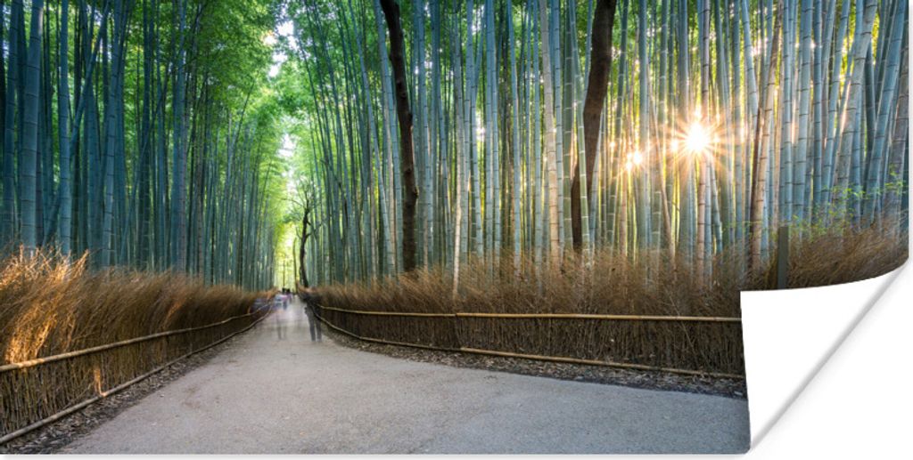 MuchoWow Poster Sonnenaufgang im Arashiyama-Bambuswald in Kyoto 160x80 cm - Foto Poster