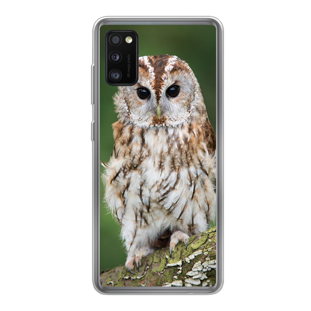 MuchoWow Handyhülle Schutzhülle Hülle für Samsung Galaxy A41 Braune Eule sitzt auf einem Baum Silikon Softcase Handy Hülle - Mobiltelefon