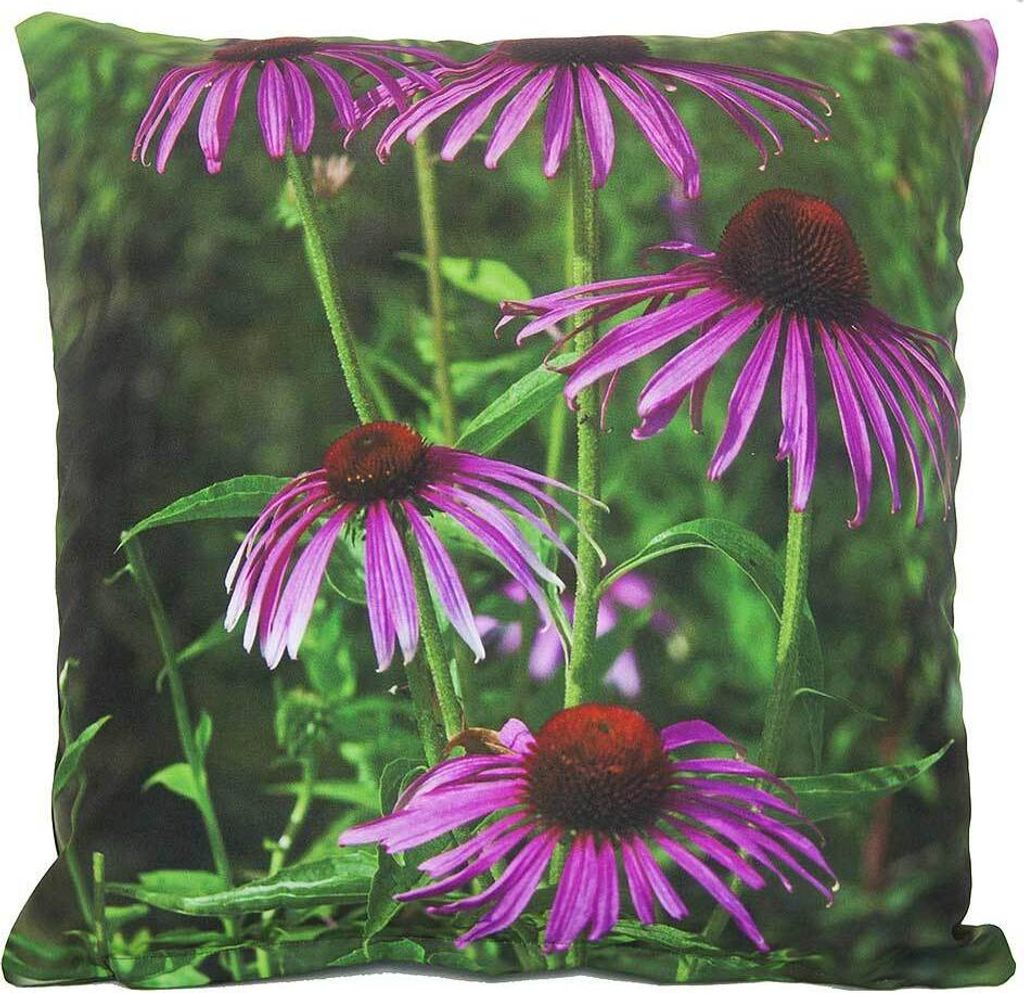 Outdoor Kissen Sonnenhut Lila Blume Gartenkissen Wasserabweisend : 50 x 50 cm Größe: 50 x 50 cm