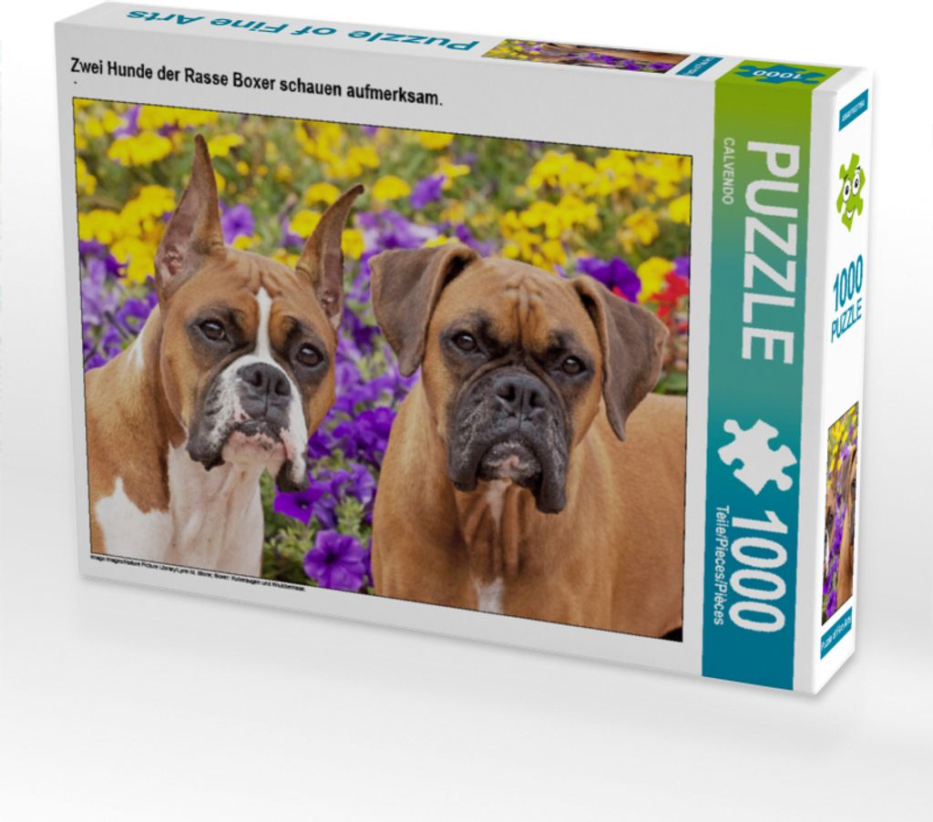 CALVENDO Puzzle Zwei Hunde der Rasse Boxer schauen aufmerksam. 1000 Teile Puzzle quer | 1000 Teile Lege-Größe 64x48cm Foto-Puzzle für glücklich...