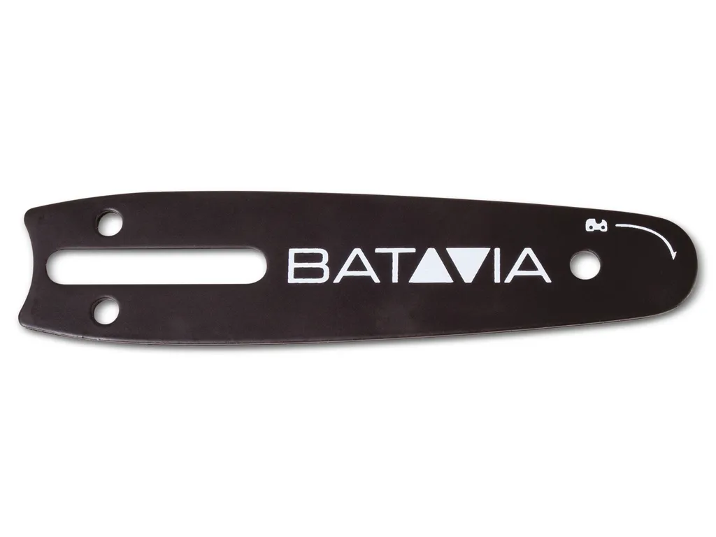 Guide de chaîne Batavia pour élagage de jardin avec la Nexxsaw V2 18V