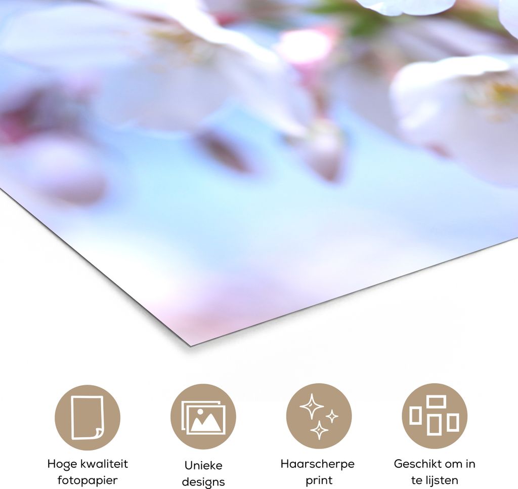 MuchoWow® Poster Blumen - Sakura - Zweig - Blütendolden Produktbild 