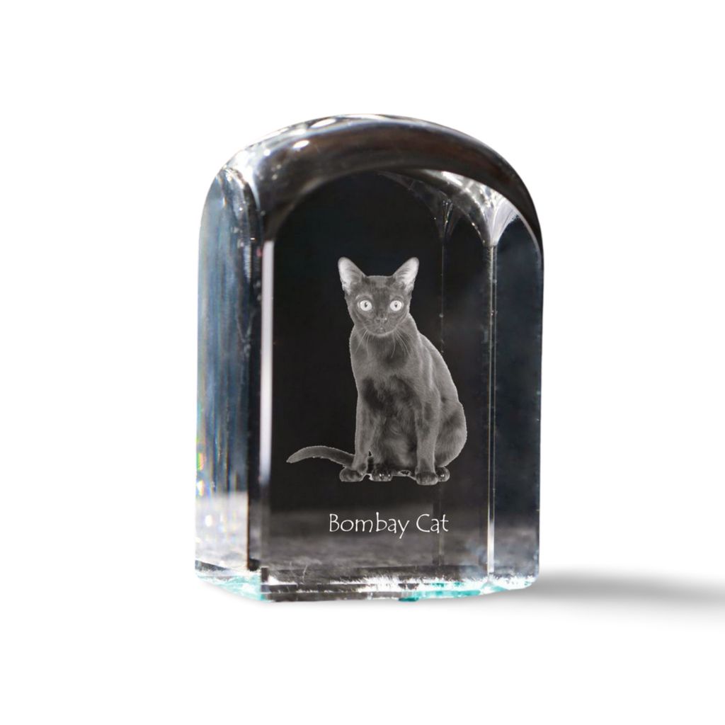 Bombay-Katze - Kristallwürfel mit Bild, Katzenbild im Kristall, sechseckiger Papierclip von der Marke Art-Dog