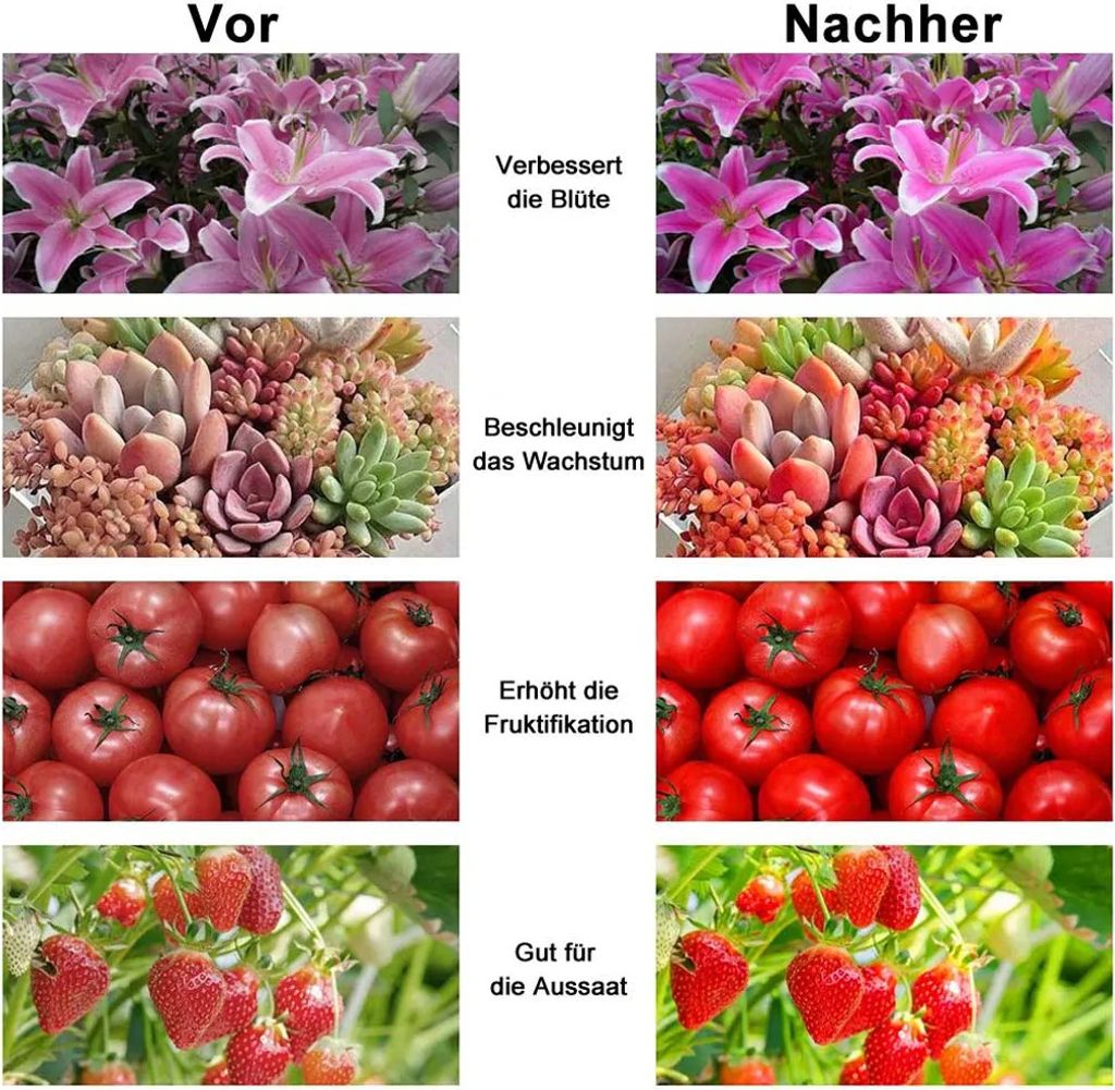 LED Pflanzenlampe Vollspektrum,Flowerpot Lampe 256 Produktbild 5