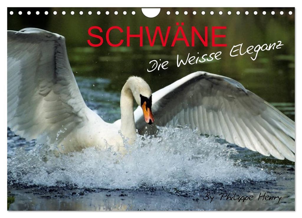 SCHWÄNE. (Wandkalender 2027 DIN A4 quer), CALVENDO Monatskalender