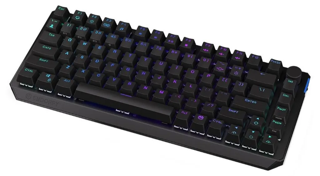 Clavier RGB ENDORFY EY5A074 - Switches Mécaniques et Triple Connexion
