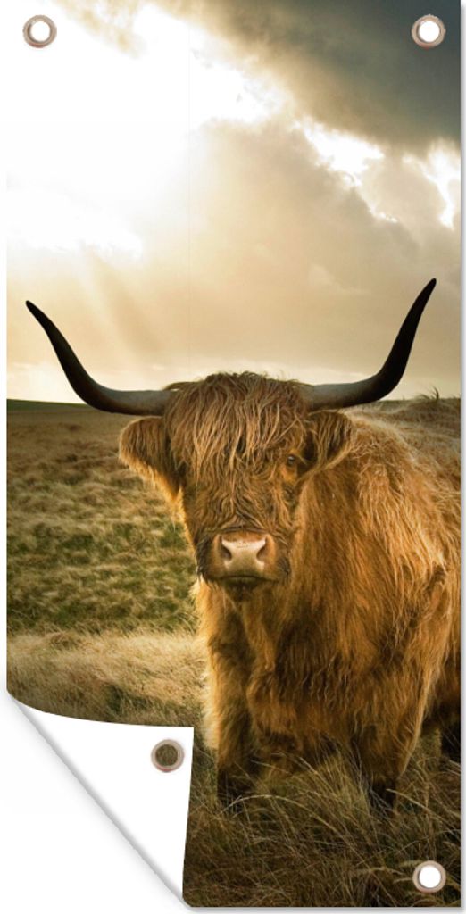 MuchoWow 40x80 cm Outdoor-Poster Gartendeko Sichtschutz Garten Poster für den Garten Schottischer Hochländer - Sonne - Tiere