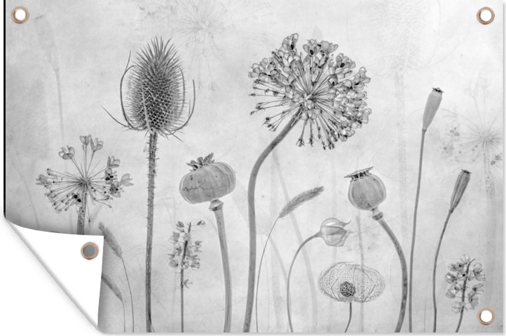 MuchoWow 90x60 cm Outdoor-Poster Gartendeko Sichtschutz Garten Poster für den Garten Stilleben - Schwarz - Weiß - Ölfarbe