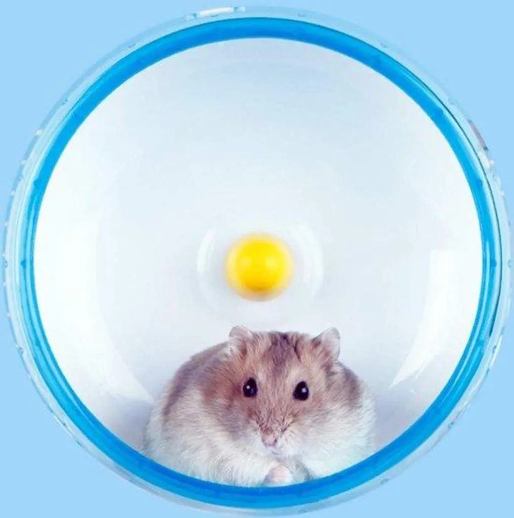 Petite roue d'exercice pour hamster nain 14cm - Accessoire de cage