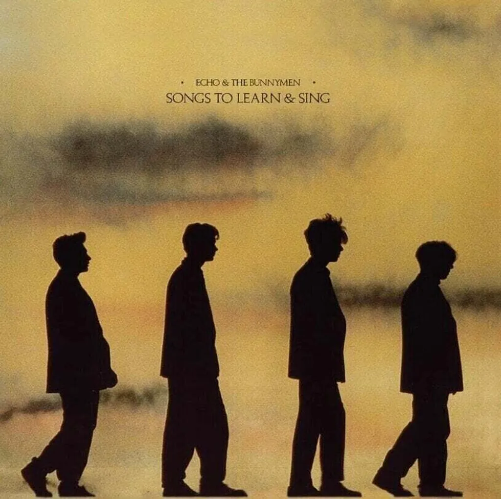 Vinyle Echo & The Bunnymen Songs To Learn & Sing 180g : Son LP Premium