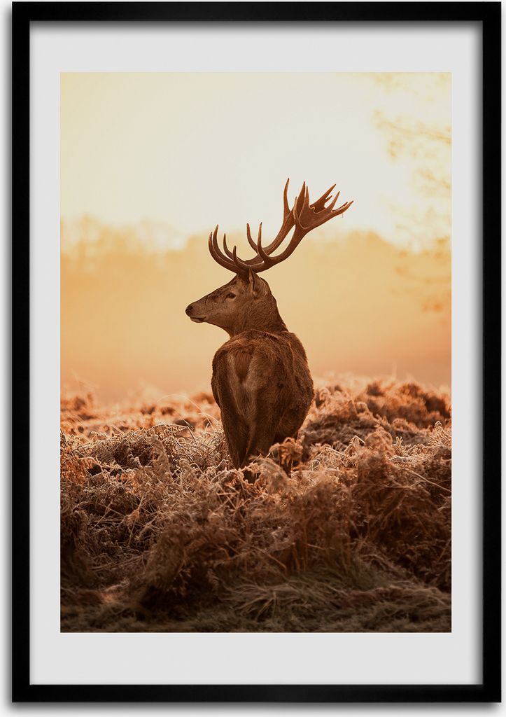 Bild - Bilderrahmen - 50 cm x 70 cm - MDF - Rahmen - Wandkunst Hirsch Sonnenaufgang