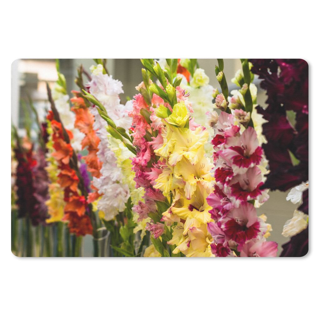 MuchoWow Schreibtischunterlage Gladiolen - Blumen - Farben 60x40 cm - XXL Mauspad - Großes Mauspad