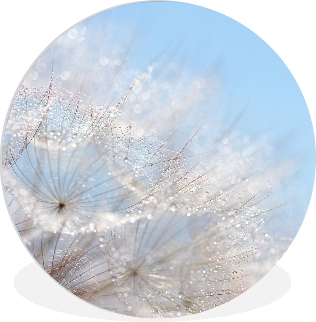 MuchoWow - Wand-Kreis - Wohnzimmer - Bild - Runde - Wanddeko - Dibond - Kunstdrucke