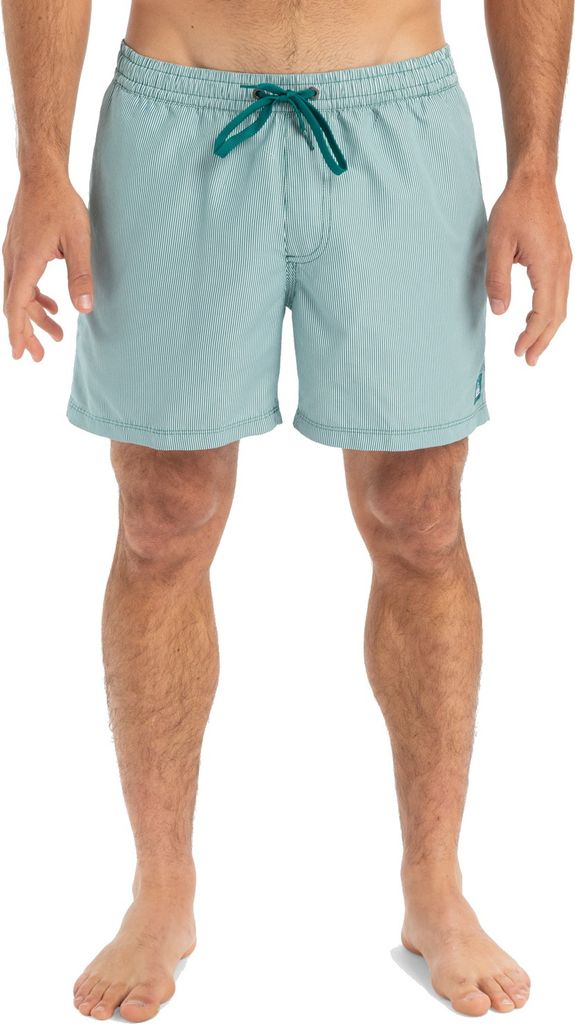 Quiksilver Badeshorts Everyday Deluxe 15" Schwimmshorts Teal Green : M Größe: M
