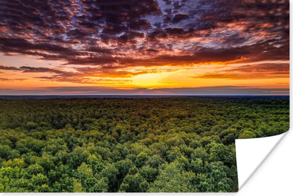 MuchoWow Poster Wald - Nacht - Himmel - Horizont - Bäume 30x20 cm - Plakate - Print