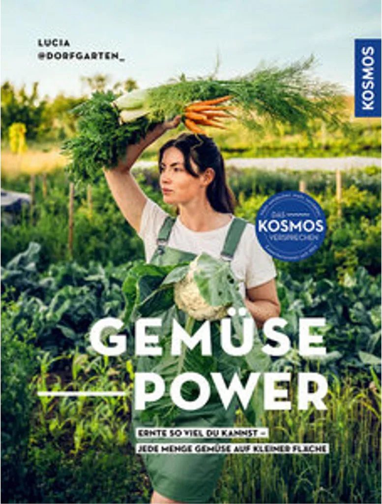 Cuisiner Le Pouvoir des Légumes : Manger Mieux et Rééquilibrage Santé