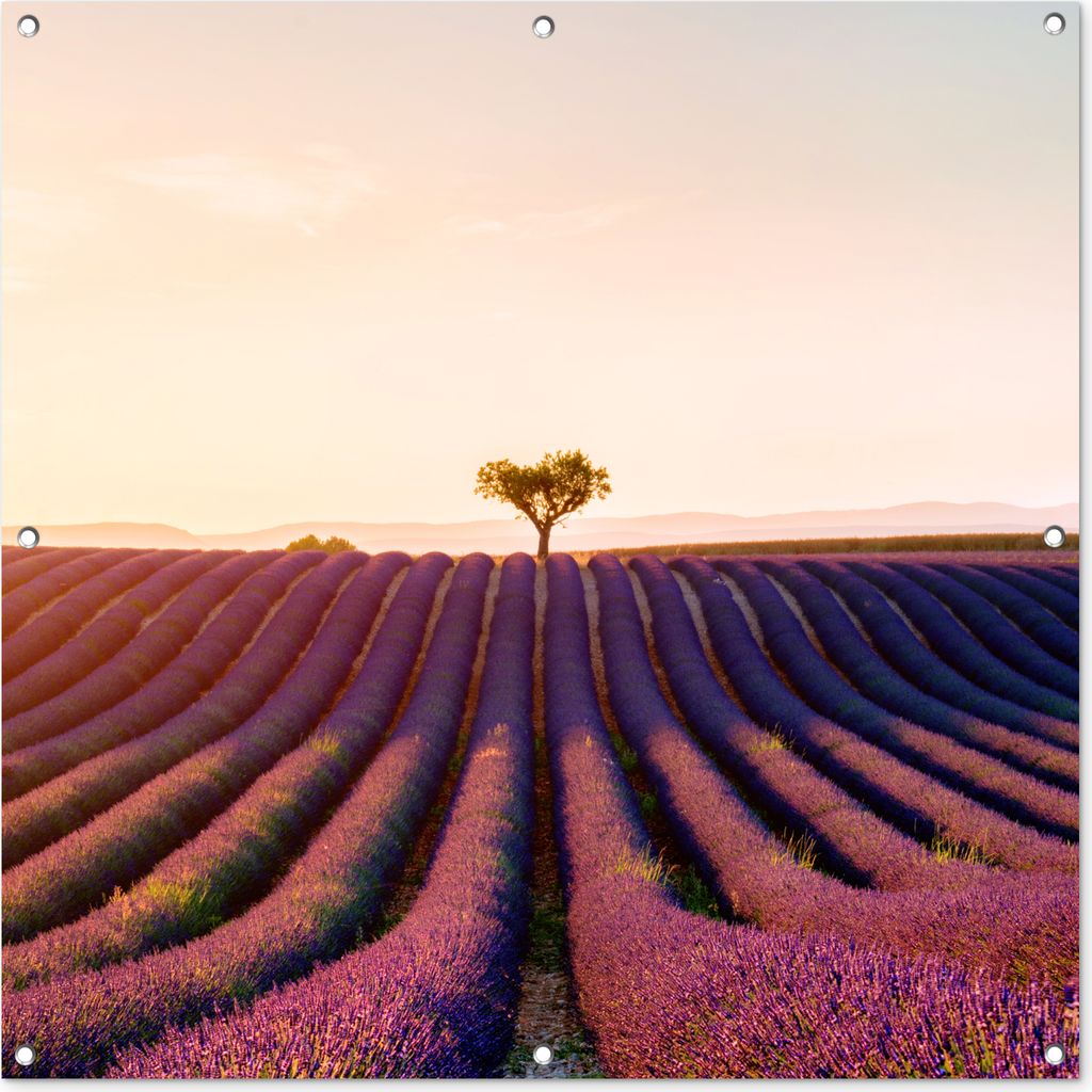 MuchoWow 100x100 cm Outdoor-Poster Gartendeko Sichtschutz Garten Poster für den Garten Bild eines violetten Lavendelfeldes in Valensole, Frankr...