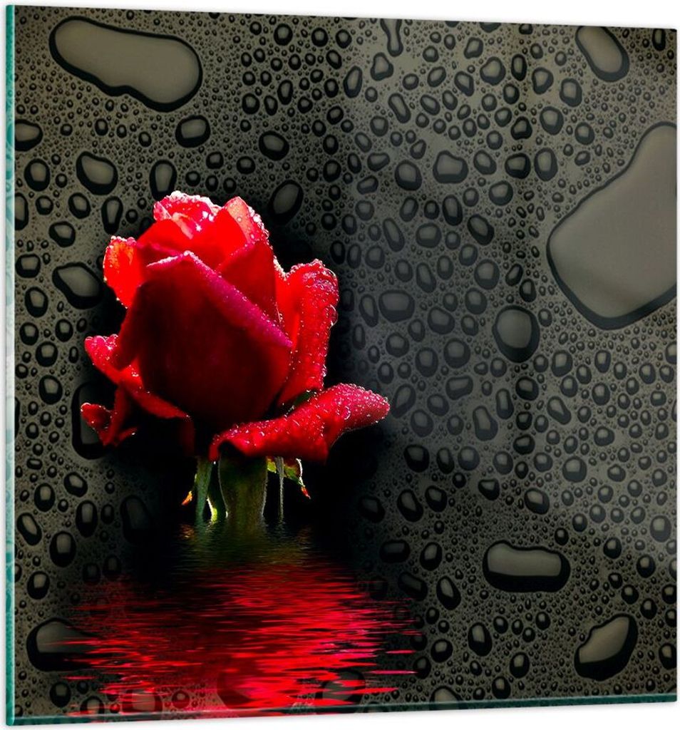 Bilder auf glas - Blume rote rose wasser tau - 40x40cm - Glasbilder - Wandbilder - Kunstdruck - zum Aufhängen bereit - Wanddekoration aus Glas - G...