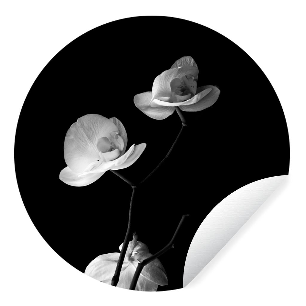MuchoWow Runde Wandtattoo - Wandsticker Tapete Aufkleber Orchidee - Blumen - Schwarz - Weiß - Stilleben Ø 50 cm Selbstklebend und Repositionier...