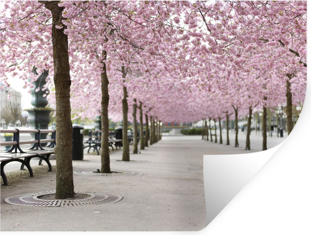MuchoWow Wandtattoo Wandsticker Wandaufkleber Frühling - Sakura - Bäume 120x90 cm Selbstklebend und Repositionierbar - Aufkleber