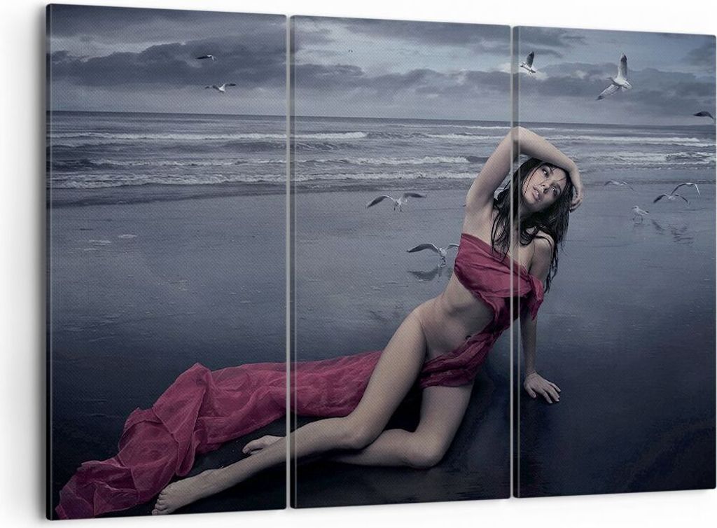 Bild auf Leinwand - Leinwandbild - Modell Möwe Vogel Natur Produktbild 