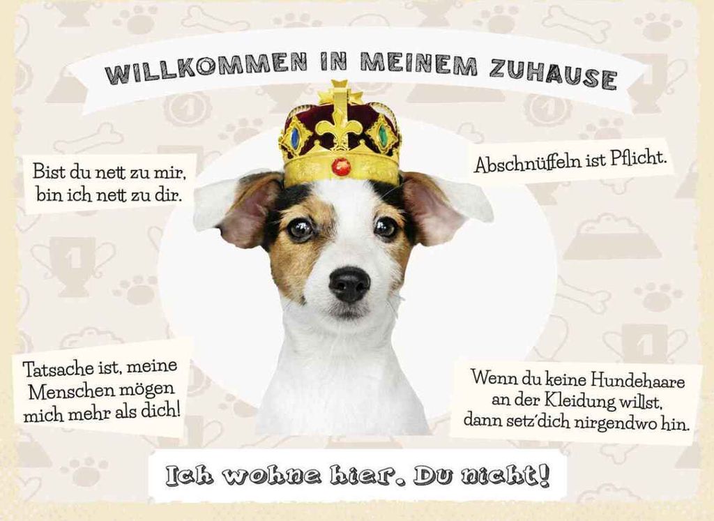 vianmo Holzschild 30x40 cm Tiere Hund willkommen wohne hier Tier Haustier