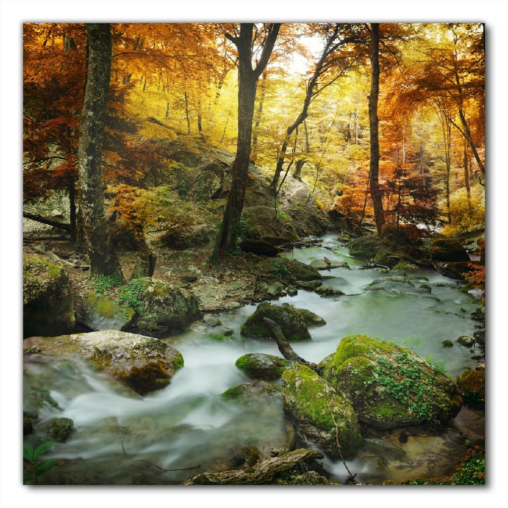 Wallario selbstklebende Möbelfolie/ Tischdecke für Innen und Außen, Größe: 60 x 60 cm - Wasserfall mit moosbedeckten Steinen im Herbstwald