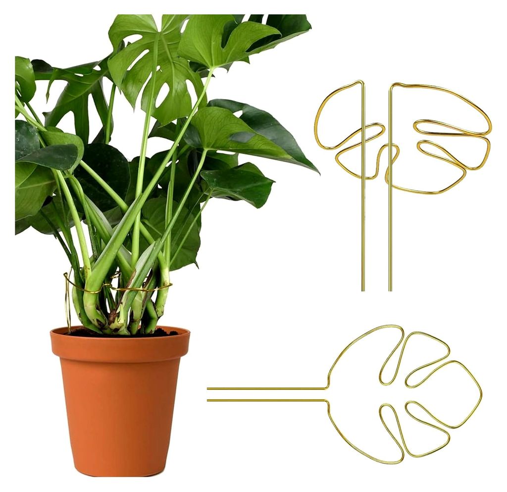 2 Stück Aluminium Pflanzenstütze, Monstera Rankhilfe