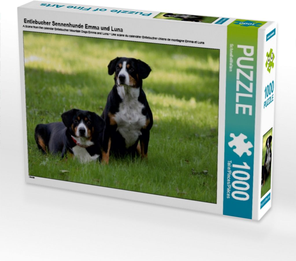 Calvendo Entlebucher Sennenhunde Emma und Luna 1000 Teile Puzzle quer 640x480mm, CALVENDO; 7429926