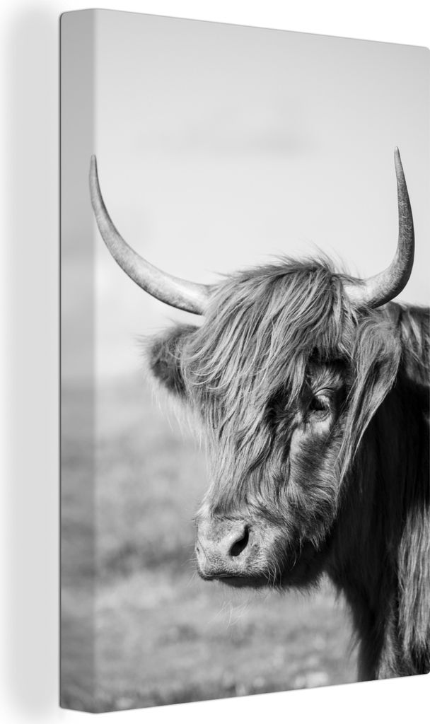 OneMillionCanvasses - Leinwandbilder - 90x140 cm, Schottisches Hochlandrind - Tiere - Schwarz - Weiß, Wandbilder Kunstdruck Wanddekoration - Hoc...