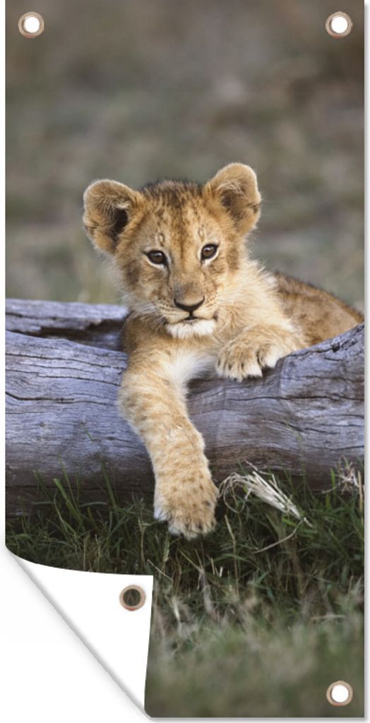 MuchoWow 40x80 cm Outdoor-Poster Gartendeko Sichtschutz Garten Poster für den Garten Jungtier - Tier - Natur