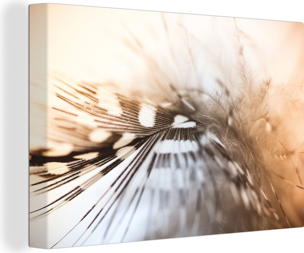 OneMillionCanvasses - Leinwandbilder - 140x90 cm, Feder Foto weiches Licht, Wandbilder Kunstdruck Wanddekoration - Foto auf Leinwand - Gemälde a...