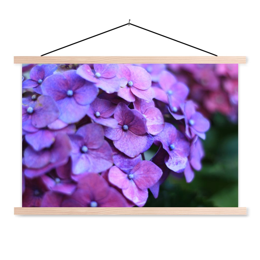MuchoWow Textilposter Blumen - Lila - Hortensie - Natur - Blütenblätter 60x40 cm mit holzfarbenen Rahmen - Bilder