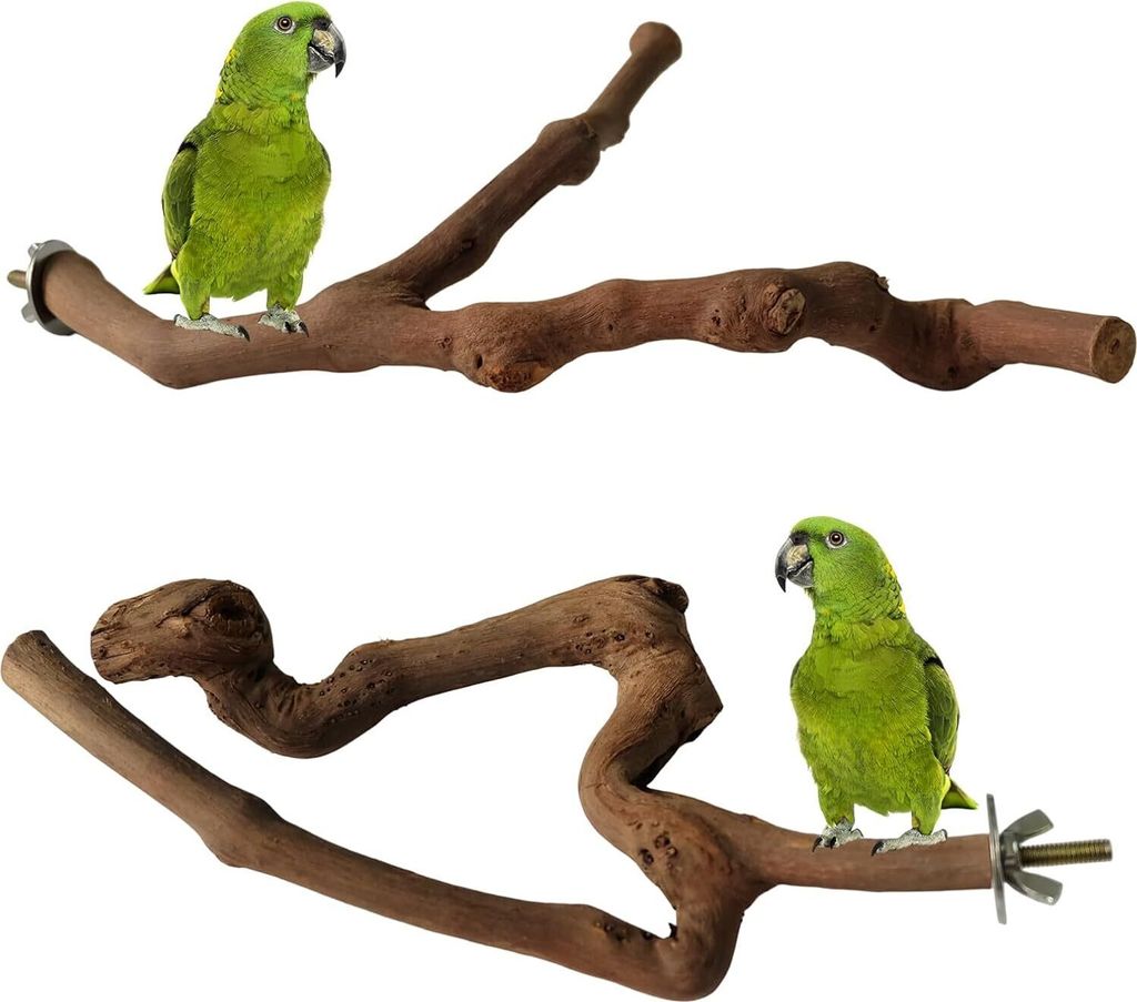2 Stücke Vögel Ständer Spielzeug, Vogel Papagei Schaukel Spielzeug, Vogel Sitzstangen, Vogelkäfig-Ständer Vogel Zubehör, für Tigerhaut Papag...