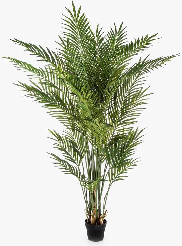artplants.de Kunstpalme Arekapalme LUVA, 170cm - Künstliche Areca