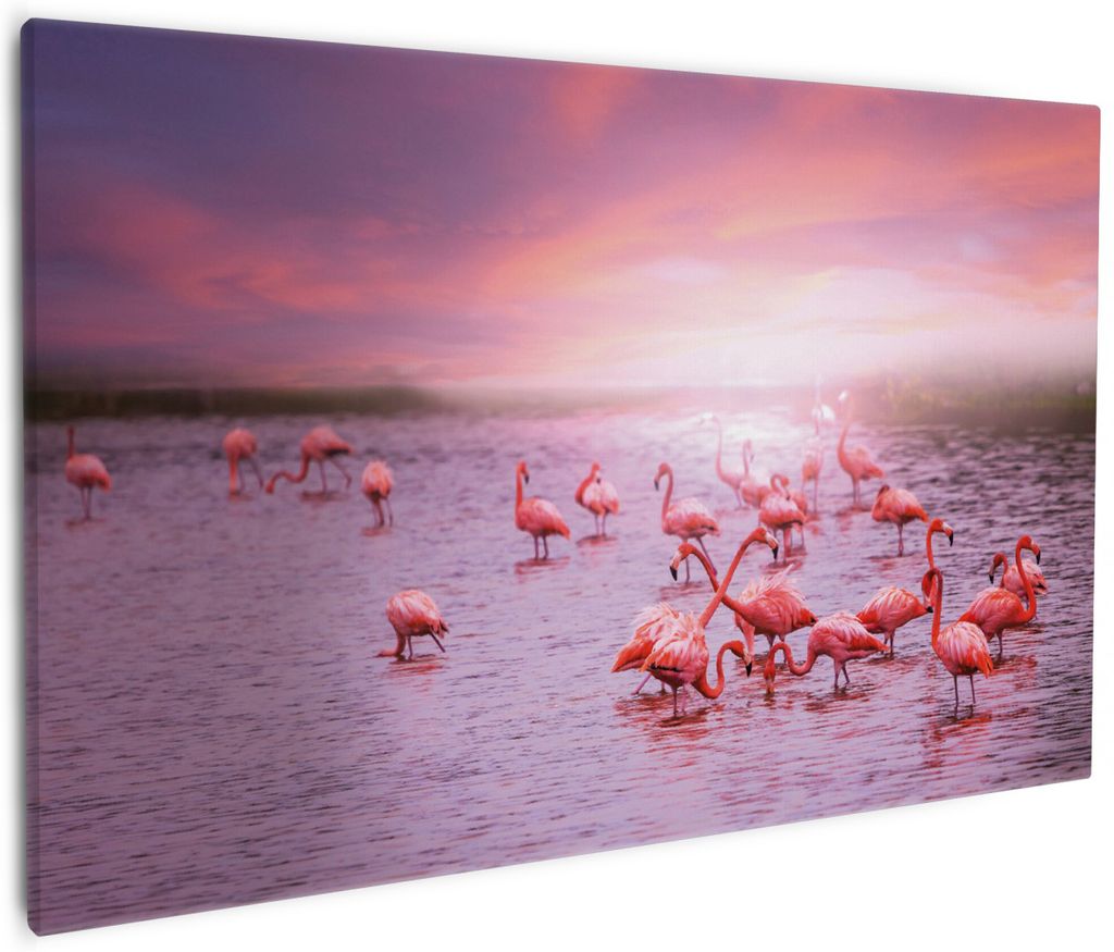 Wallario Premium Leinwandbild Rosa Flamingos bei Sonnenuntergang in Größe 60 x 90 cm