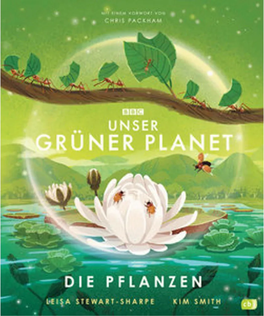 Livre éducatif Les plantes : comprendre Notre planète verte en famille
