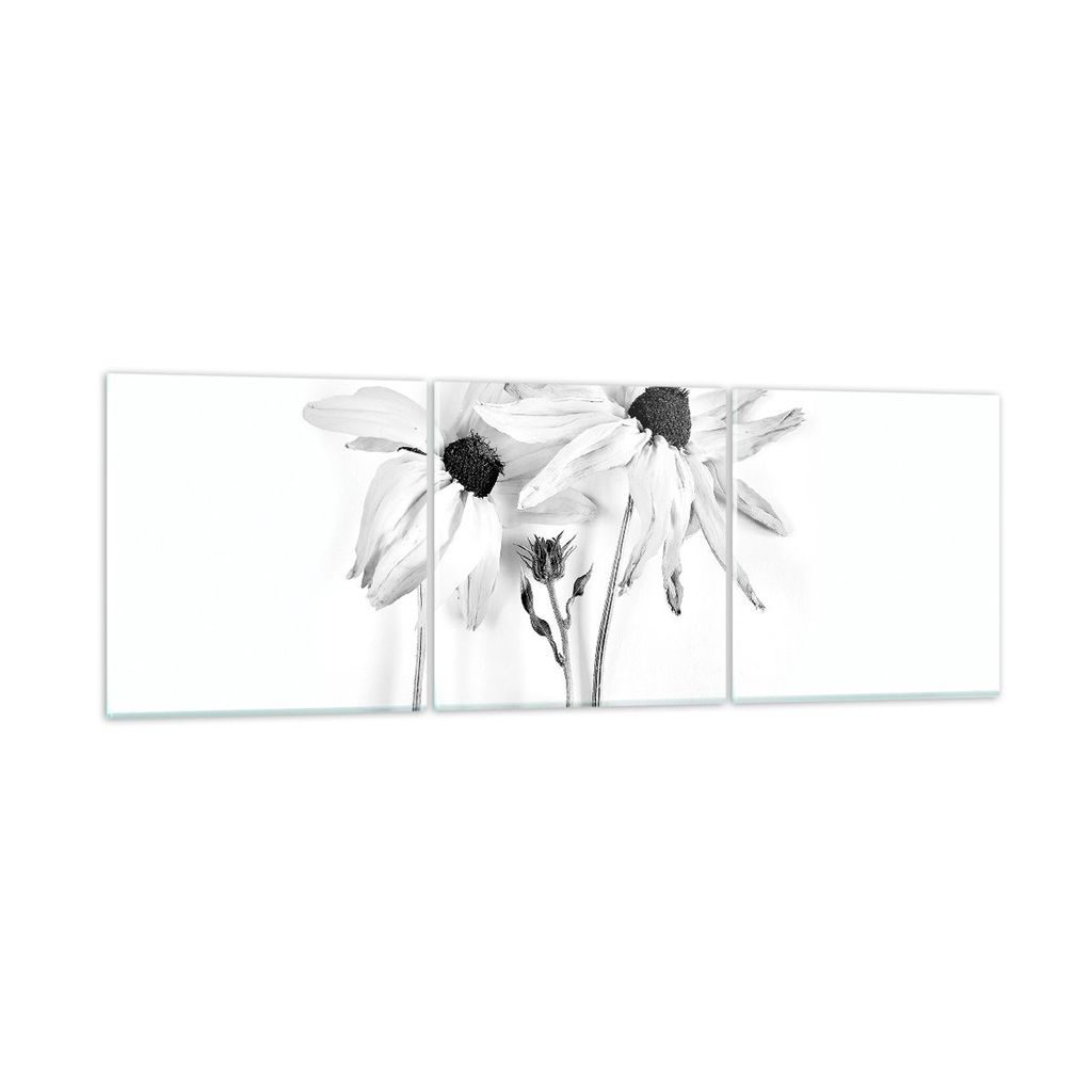 Bilder auf glas - 3 Teile - Verwelkt Blumen Monochrom - 150x50cm - Glasbilder - Wandbilder - Bilder - zum Aufhängen bereit - Wanddekoration aus Gl...