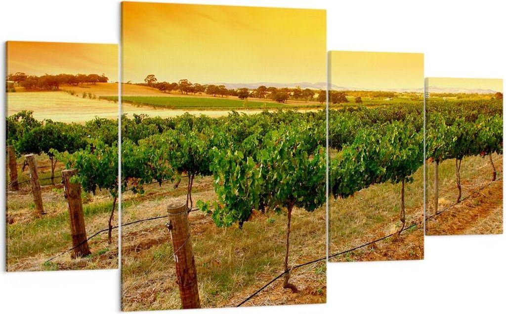 Bild auf Leinwand - Leinwandbild - Landschaft Weinberg Sonnenuntergang - 160x90cm - Wand Bild - Wanddeko - Leinwanddruck - Bilder - Kunstdruck - Le...