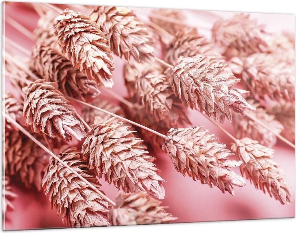 Bilder auf glas - Einteilig - Klinge Gras getrocknet - 120x80cm - Glasbilder - Wandbilder - Bilder - zum Aufhängen bereit - Wanddekoration aus Gla...