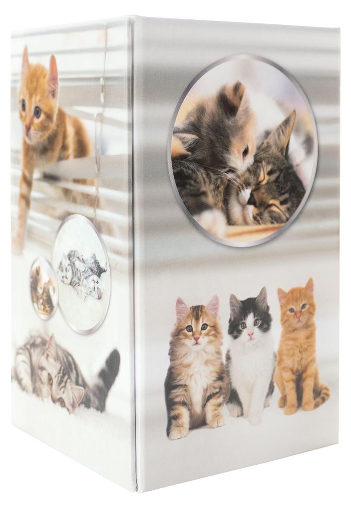 HERMA Stiftehalter Katzen Karton 8,0 x 8,0 x 13,5 cm