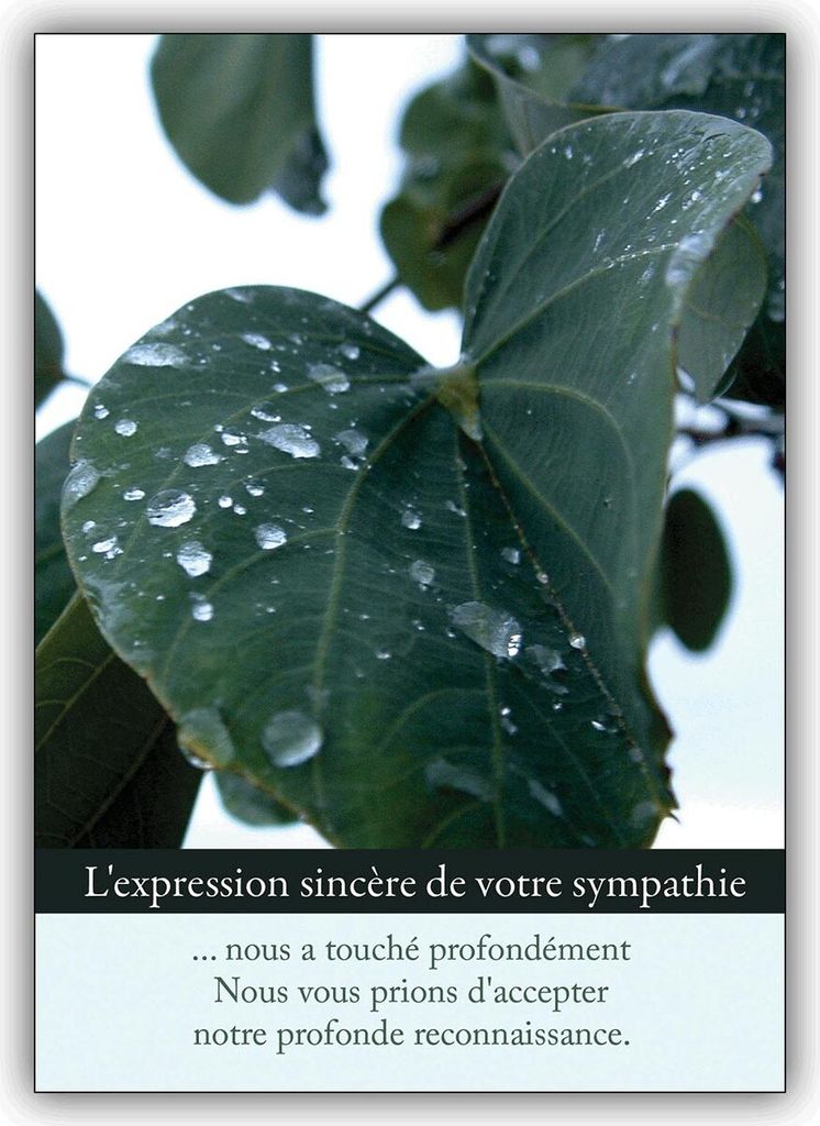 Feine französische Trauer Dankeskarte: L’expression sincère de votre sympathie ... nous a touché...