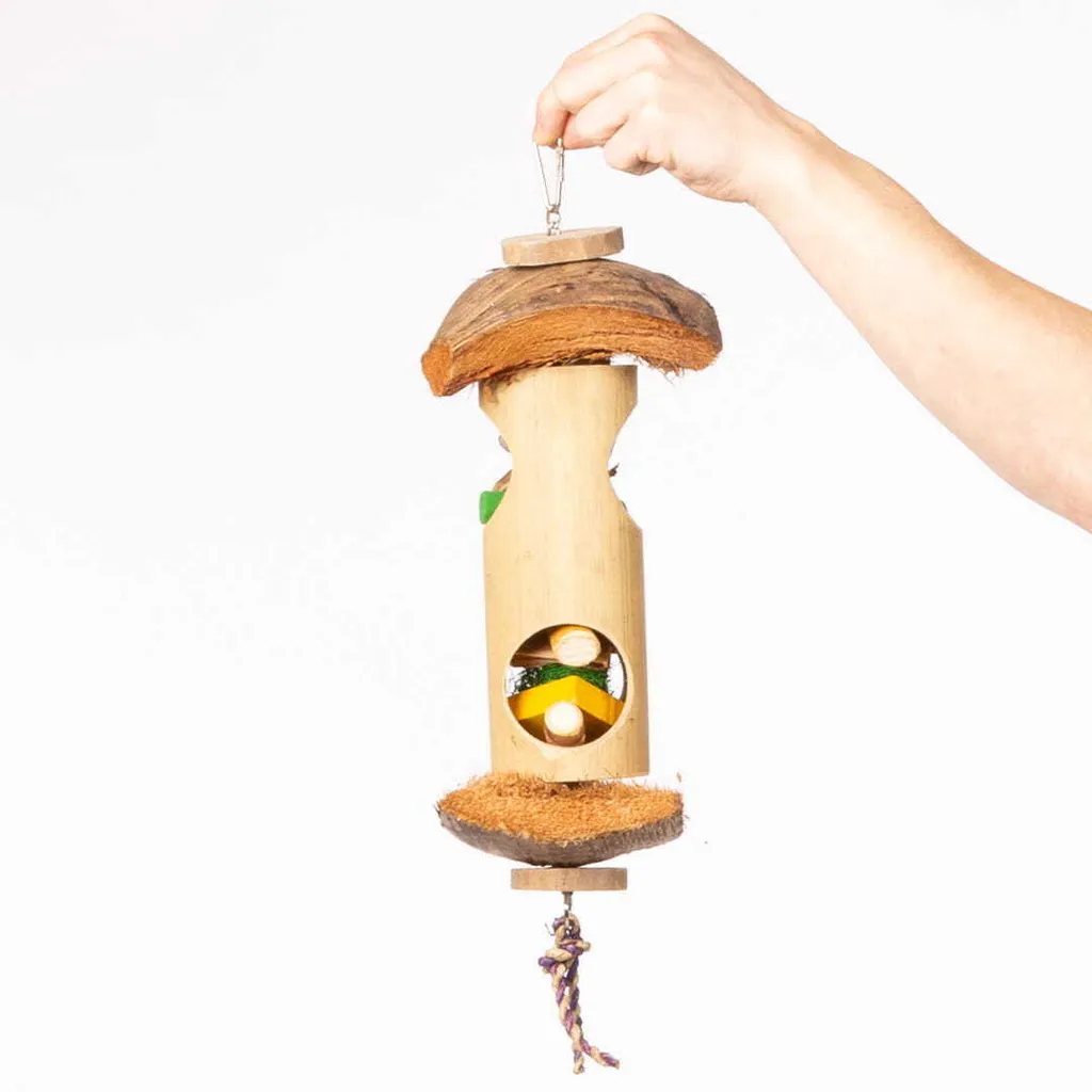 Sorpresa | Gioco naturale per pappagalli con legno di Giava | Imparare a foraggiare