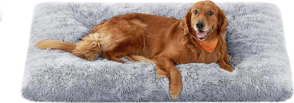 Matelas pour chien XL 140 x 100 cm idéal pour grand salon ou terrasse