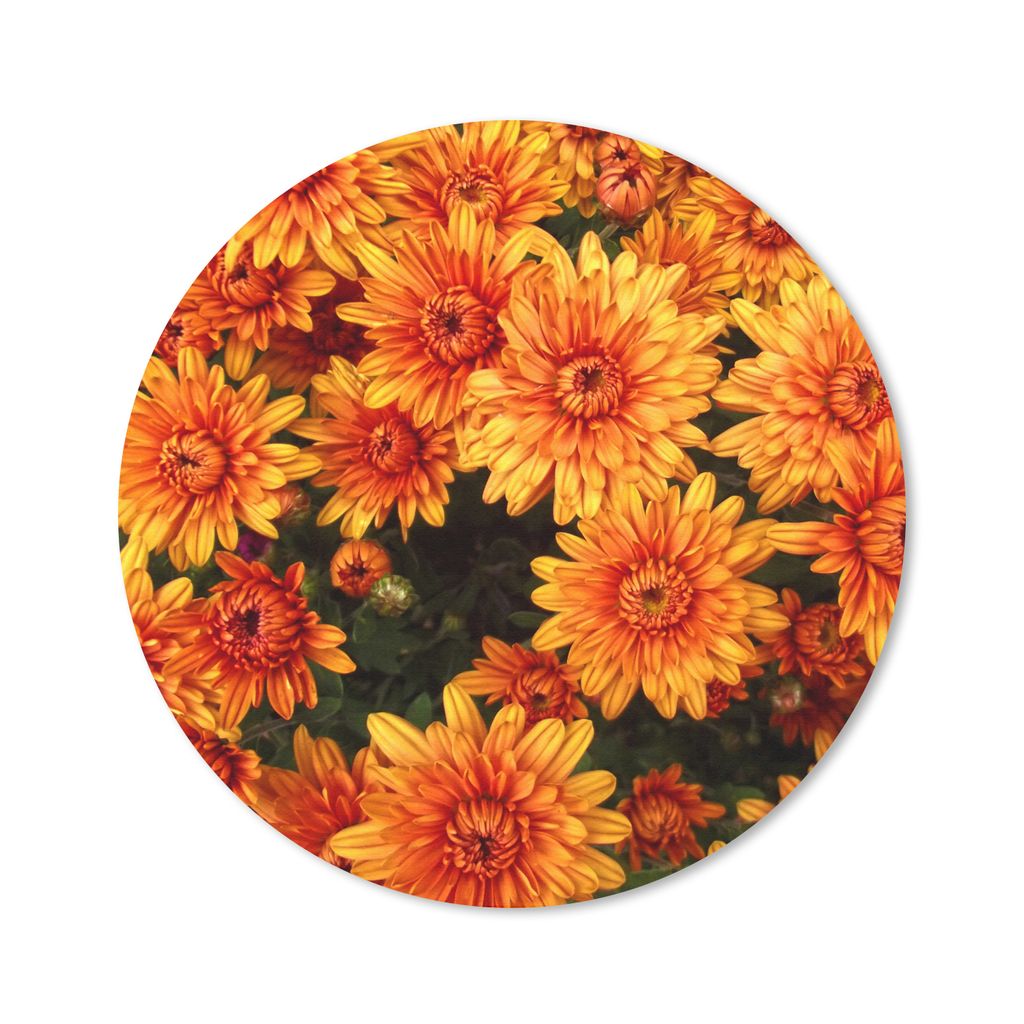 MuchoWow Mauspad Mousepad Blumen - Orange - Chrysantheme 40x40 cm - Mousepads - Maus Mat - Pad - Mausunterlage - Schreibtisch Accessoires