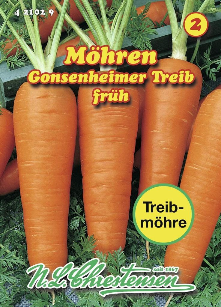 Speisemöhre Gonsenheimer Treib | Möhrensamen von N.L. Produktbild 
